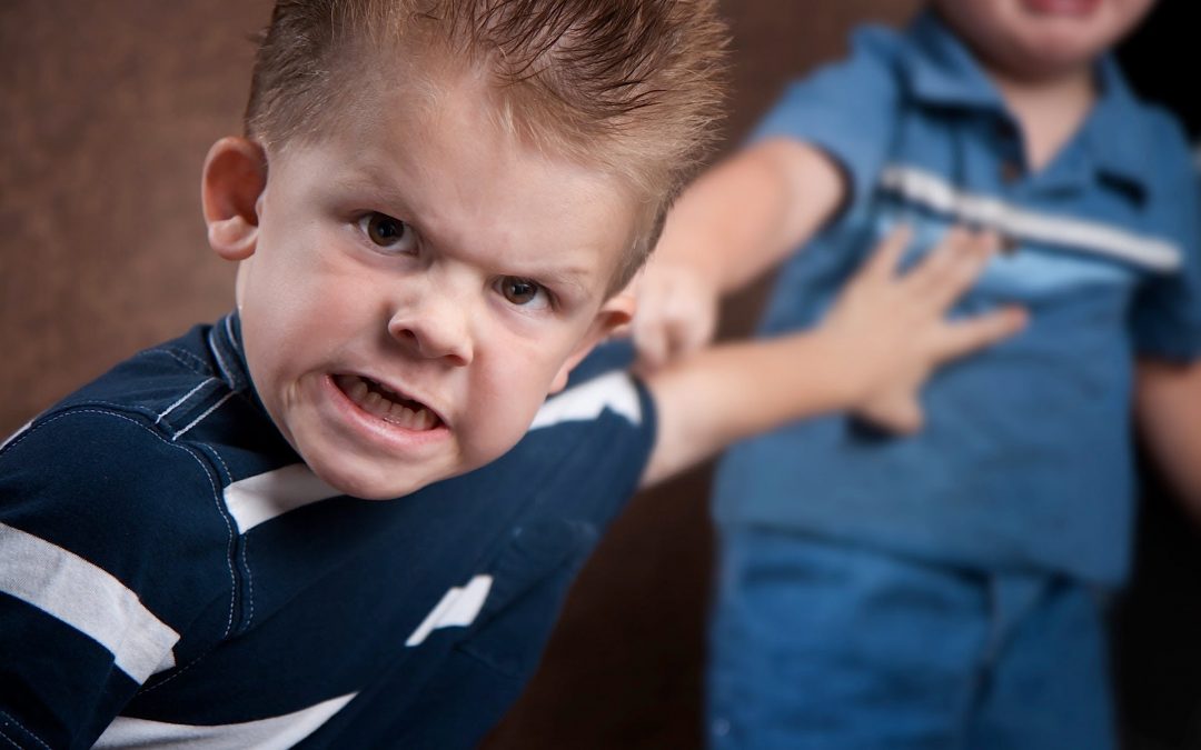Conductas agresivas en la infancia Trastornos del comportamiento en la infancia